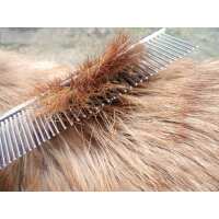 Read Masterclip Animal Clippers Reviews